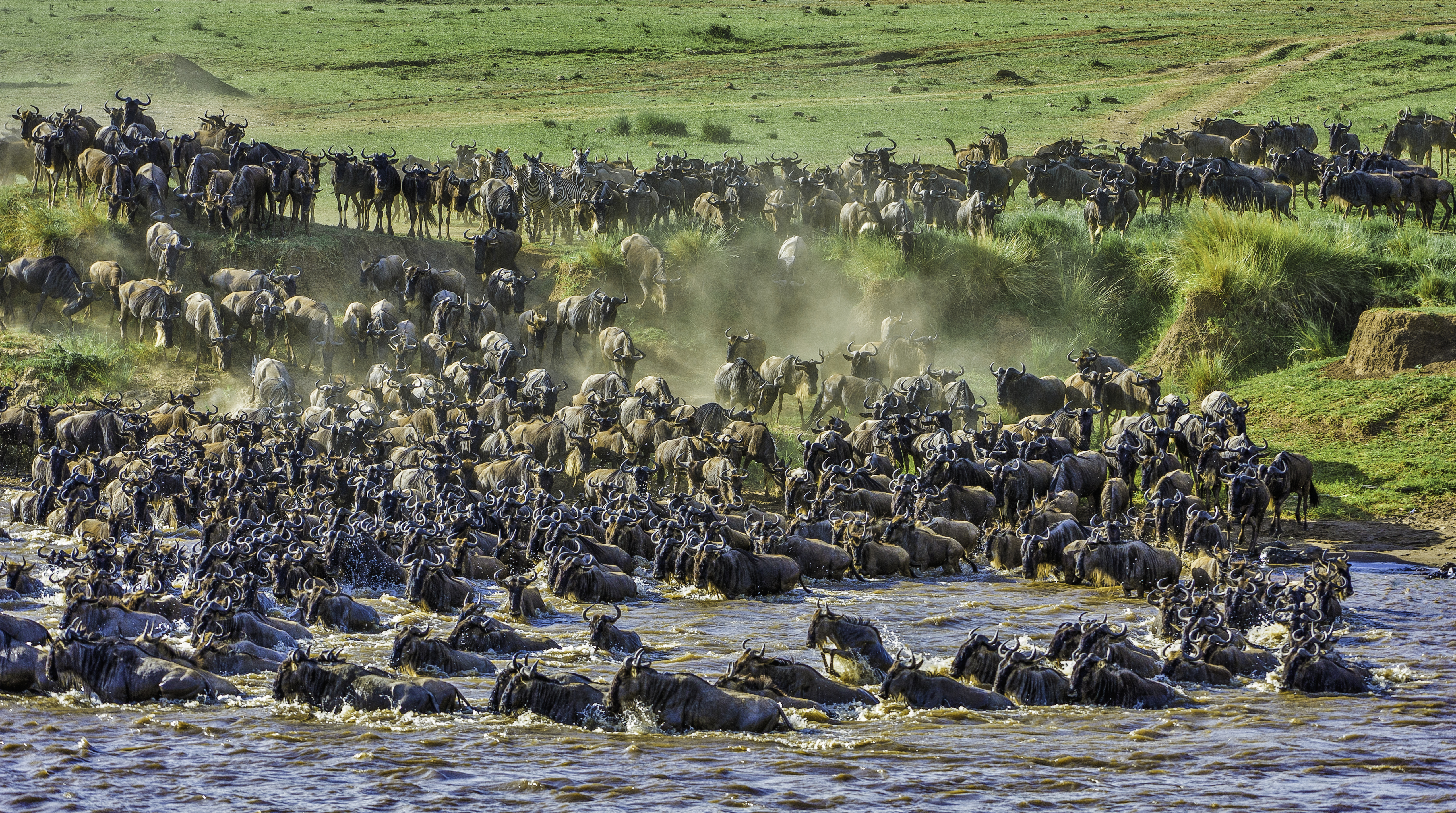 Masai Mara